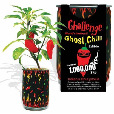 CHALLENGE SEEDS, GHOST CHILE Seeds