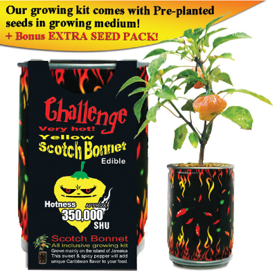 CHALLENGE SEEDS, YELLOW SCOTCH BONNET Seeds