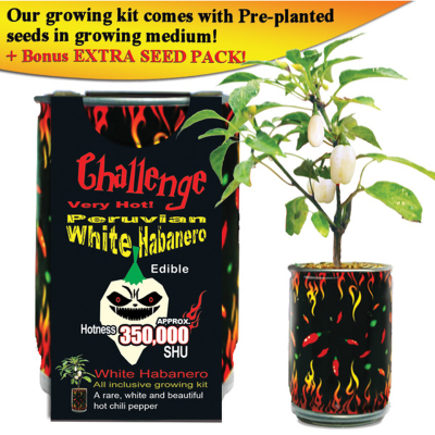 CHALLENGE SEEDS, WHITE HABANERO Seeds